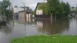 Zalany Sosnowiec
