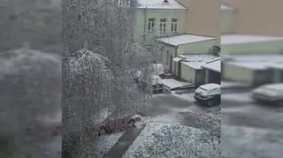 Pierwszy snieg w Chelmie