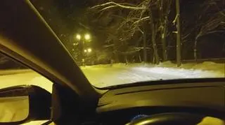 Rzadki okaz na drodze