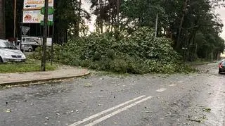 Obraz po burzy