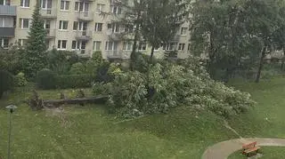 Dębica, burza 26.08.2023
