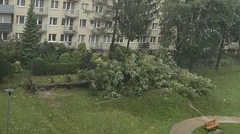 Dębica, burza 26.08.2023