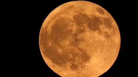 Kwiatowa Pełnia nad Polską