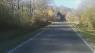 Ryś-Pszczeliny,Bieszczady