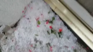 Mamy zimę tej jesieni 