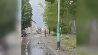 Dębica 26.08.2023