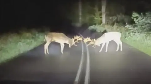 Okolice Nowogrodu Bobrzańskiego