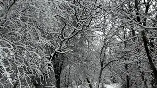 Park Lotników Kraków
