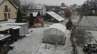 Braniewo