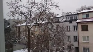 pierwszy śnieg 