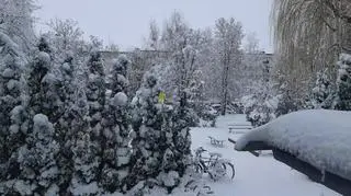 Mielec dzisiejszego ranka pod śniegiem I nadal pada trudne warunki na drogach chodniki śliskie 