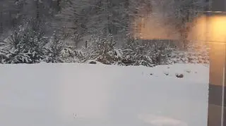 Okolice Mrągowa