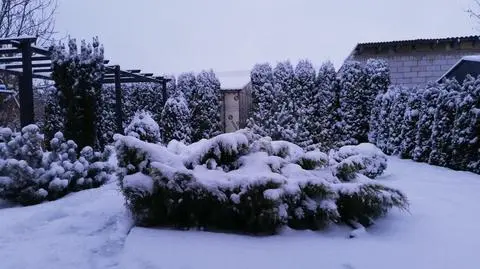 Piękna zima