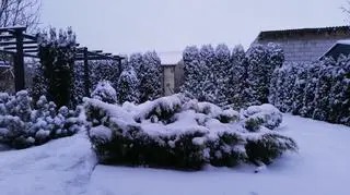 Piękna zima