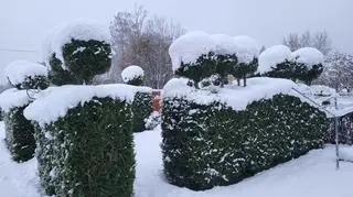 Ludvika, środkowa Szwecja
