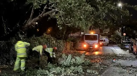 "Wiatr powalił wiele drzew, wielu mieszkańców nie miało prądu"
