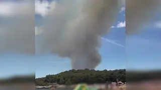 Pożar lasu - Pula, Istria w Chorwacji
