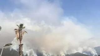 Pożary na Teneryfie