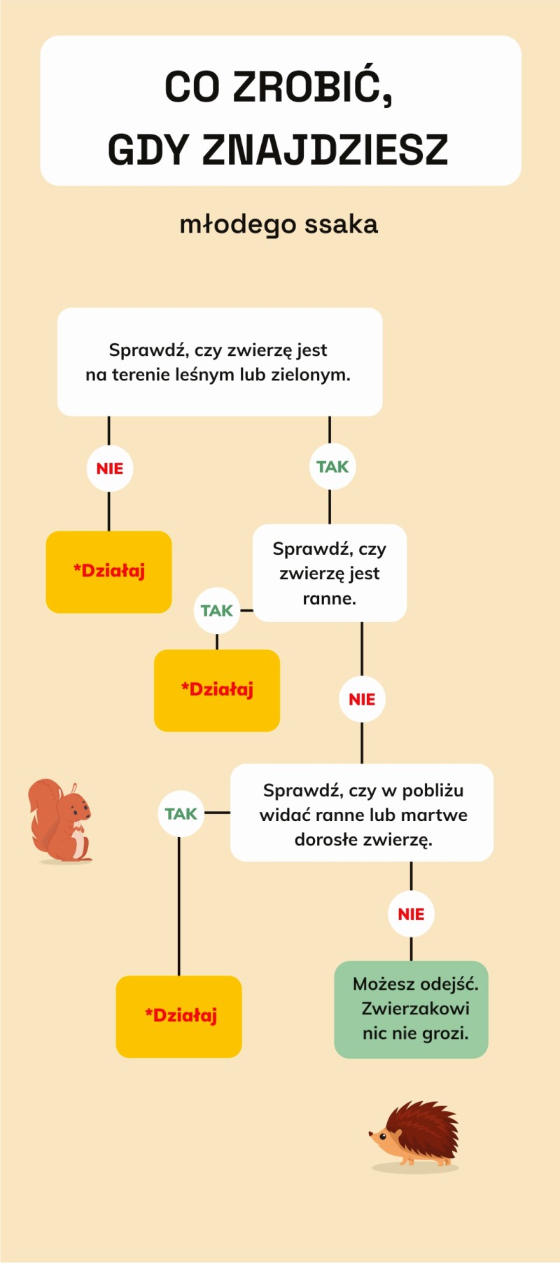 Co zrobić, gdy znajdziesz młodego ssaka