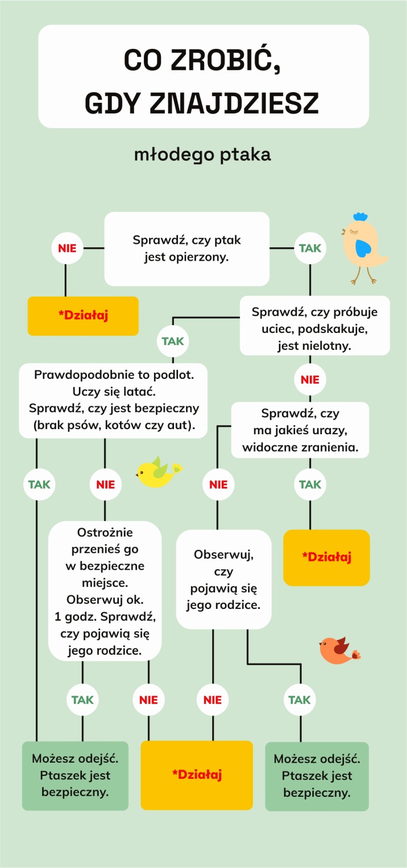 Co zrobić, gdy znajdziesz małego ptaka?