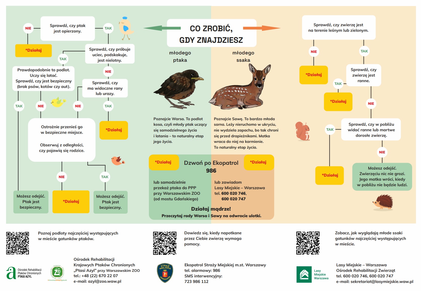 Kampania edukacyjna "ZOOstaw, NIE porywaj"
