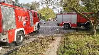 Zderzenie skody i renault