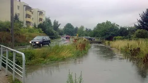 Oczyszczą Potok Służewiecki