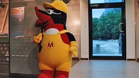 Krecik, mini TBM i filmy: wszystko o metrze