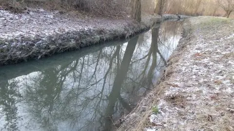 "Czuć zapach ropy i widać plamy". Zanieczyszczony Potok Służewiecki 