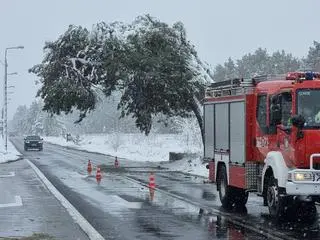 Nieprzejezdny jest jeden pas Patriotów 