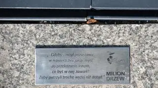 Zielona Świętokrzyska 