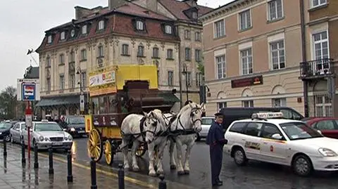 "Potrzebne zdrowe, silne konie"