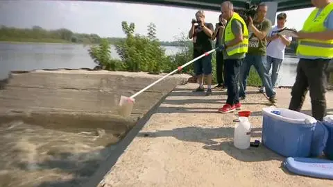 Pięć punktów, mobilne laboratorium. Tak badają wodę z Wisły