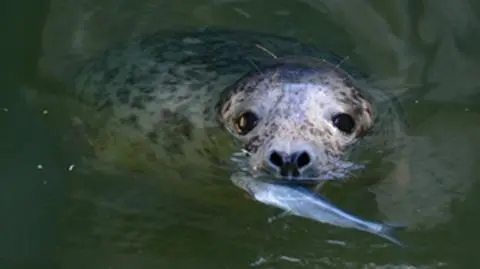 fot. Miejski Ogród Zoologiczny w Warszawie