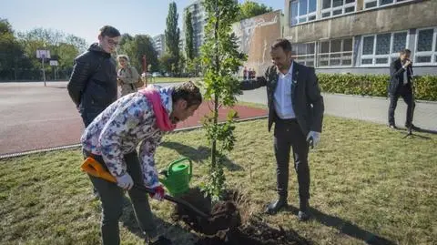 Zapowiadali milion drzew. Na Targówku posadzili... sześć