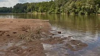 Policja bada sprawę szczątków odnalezionych na plaży w Ciszycy (zdj. ilustracyjne)