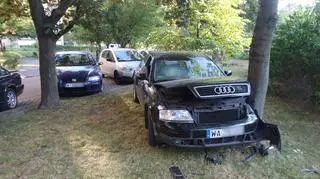 Audi na drzewie