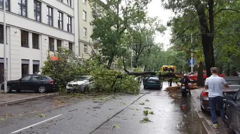 "Czuję się, jakbym wygrał w totka"