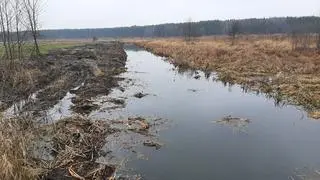 Prace toczyły się na terenie rezerwatu Wieliszewskie Łęgi