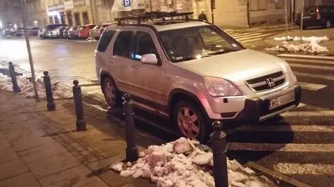 Zebra mu niestraszna. Mistrz parkowania na Polnej