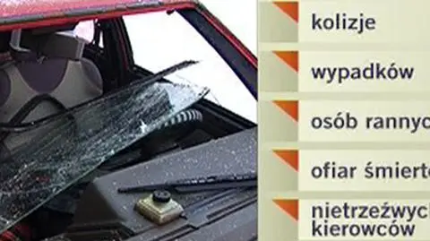 Policja: to były spokojne święta