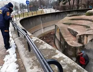 Mężczyzna wpadł do nieczynnego wybiegu dla niedźwiedzi 