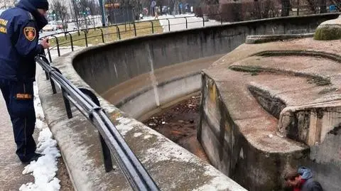 Mężczyzna wpadł do fosy wybiegu dla niedźwiedzi