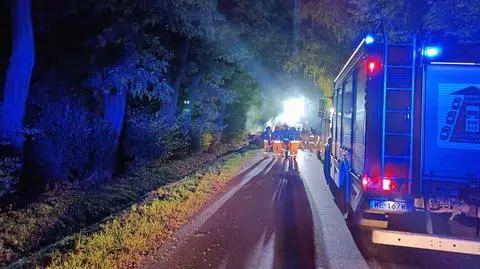 Samochód uderzył w drzewo i spłonął. Zginęły cztery młode osoby