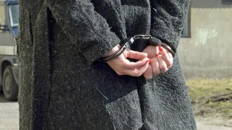 Chciała wtargnąć do domu byłego partnera. Zaatakowała policjantów