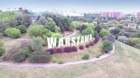 Nie będzie jak w Hollywood