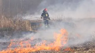 Pożar traw