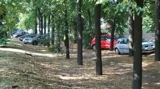 Nielegalnie parkują nad Wisłą