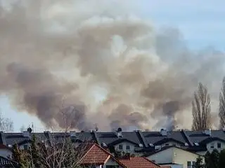 Pożar traw przy Wale Miedzeszyńskim