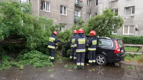 Drzewo spadło na volvo. Akcja strażaków